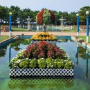 코리아플라워파크 이미지