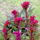 무릉초등학교 이미지