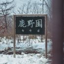 보화구제 스포츠서울