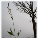 바늘꽃수선 - 대덕구 동서대로1748번길 45 | 바늘꽃수선