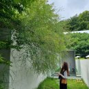 강화도 해든뮤지엄 미술관 사진 찍기 좋은 곳