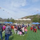 적성생활체육공원 이미지