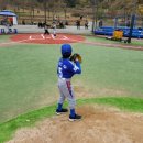 서초구서리풀리틀야구단
