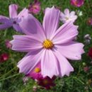 현우농장 이미지