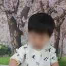 움트리어린이집 이미지