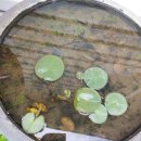 인선농장 이미지