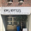 킴스여행주
