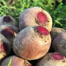 길영농장 이미지