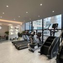 핏버디짐 이미지