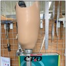 중앙의지보조기 이미지