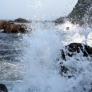 바다그리다 이미지