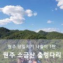 씨유 수명파크점 | 원주 당일치기 : 당일치기로 좋은 원주나들이! [출렁다리] 후기