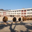 죽향초등학교 이미지