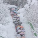 강릉초등학교 이미지