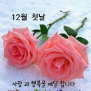 금요일 이미지