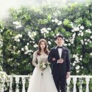 비앙스튜디오 이미지