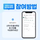 돌하루팡