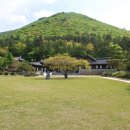 울돌목 숭어