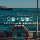 (주)바이크트립 | 모튼 아일랜드 호주 브리즈번 근교 투어 : 돌고래 먹이주기 실패와 페리 멀미, 스노쿨링