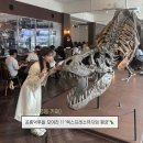 수원-0662 네이버블로그