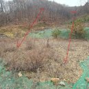 유방5통 이미지