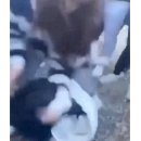 천안서초등학교 이미지