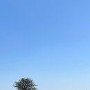 독일베이커리 이미지