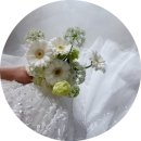 다과온당 | 📍청주 신상 드레스샵 - 루메르 브라이덜 피팅 후기