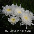 주안영안실 이미지