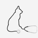 대동동물병원 이미지