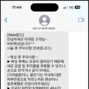 비비슈 이미지