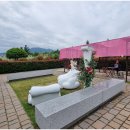 곡성-135 이미지