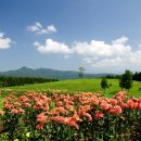 고원사우나 이미지