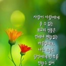 사랑없인 난 못살아요. 이미지