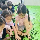 벧엘유치원 이미지