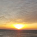 해돋이 민박 이미지