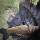 연정낚시터 이미지