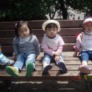 쁘띠쏭