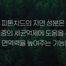 틈새홈클린 이미지