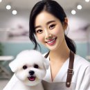 안산 건건동에서 성공적인 소자본 창업, 어떻게 할 수 있을까요?