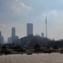 더 그린 행정사사무소 이미지