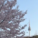 남산6길 15, (교현동) | 충무로 맛집 남산도담 충무로역 술집 6번출구