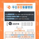 영등포 우신종합 동물병원 이미지