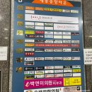 오;유미당세종정부