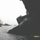 새들의천국 이미지