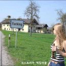 유방6통 이미지