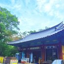 신선대 입구 임도 이미지