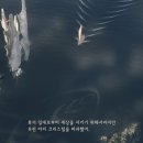 크리스탈노래 이미지