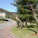 금북정맥 종주산행기(4구간) 각원사~태조산~경암산~경부고속도로~돌고개 이미지