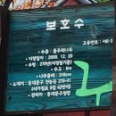 마당이수목원(느티나무동) | 서울시 보호수 나무들 11 - 동대문구
